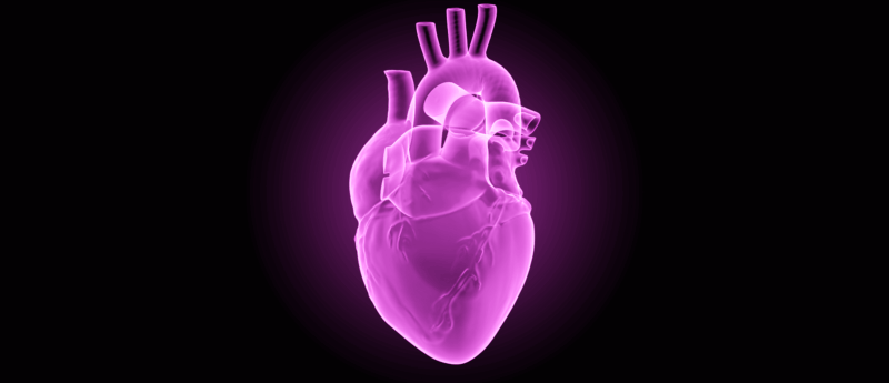 The protein–protein relationship that could mend a broken heart - RegMedNet