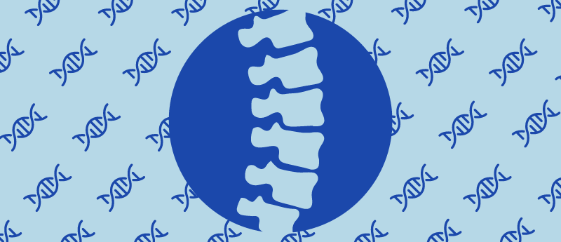 Disc comfort: gene therapy for chronic back pain
